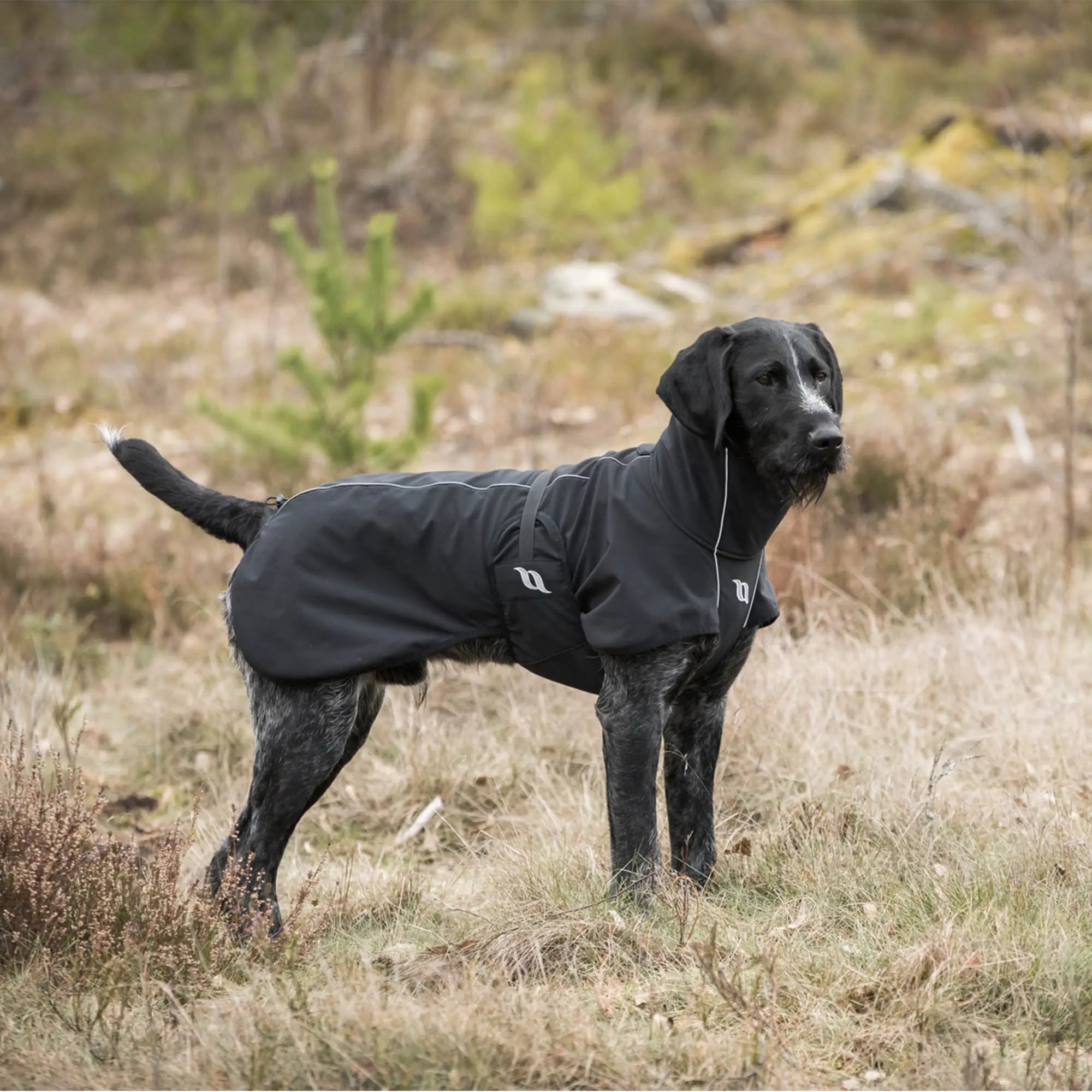 Koirien-softshell-takit Back on Track Finland