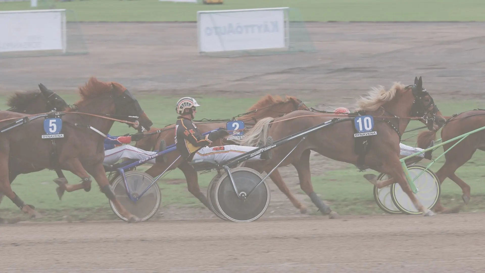Kuninkuusravi-tarjoukset Back on Track Finland