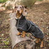 Buddy 2.0 Softshell takki pitkäselkäiselle koiralle, musta, Back on Track Finland
