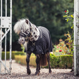 Royal Deluxe poni verkkoloimi, Back on Track Finland