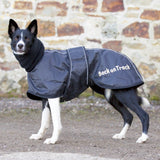 Whippet-takki - Back on Track Finland