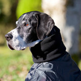 Whippet-takki - Back on Track Finland